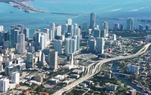 Pest Control in Miami Dade